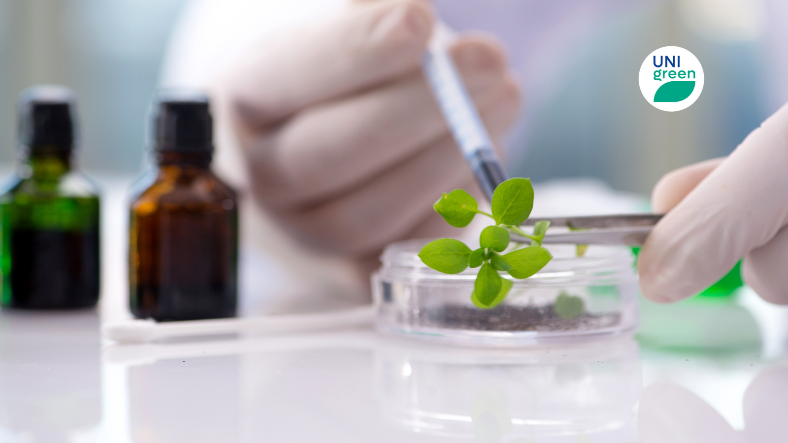 EC pushes for boost in Biotechnology