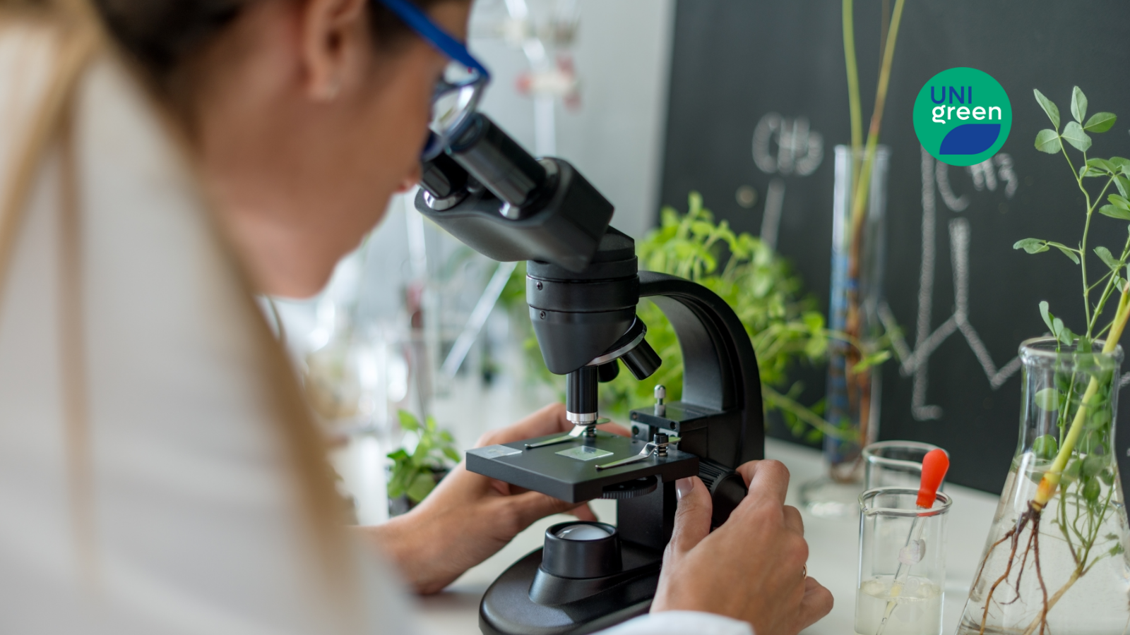 SGGW organises webinar “Empowering Women in STEM: Pathways to Entrepreneurship and Innovation”  