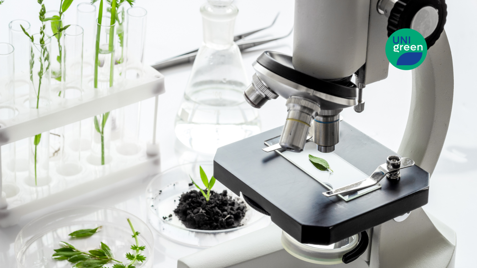 Launch of the UNIgreen Joint PhD Programme