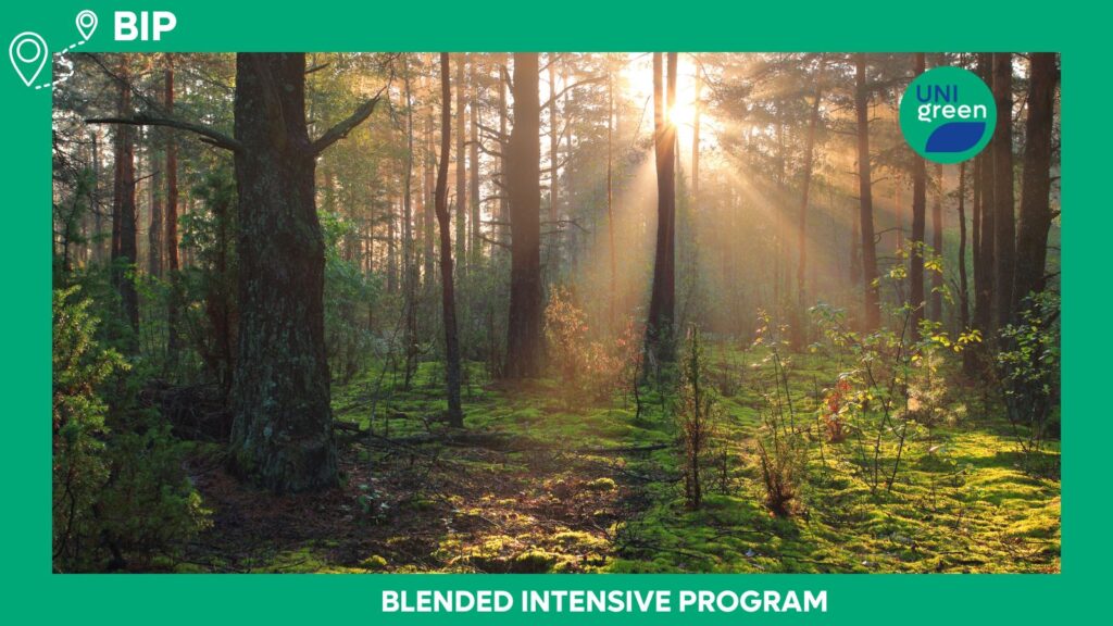 BIP – Alien species in forest ecology