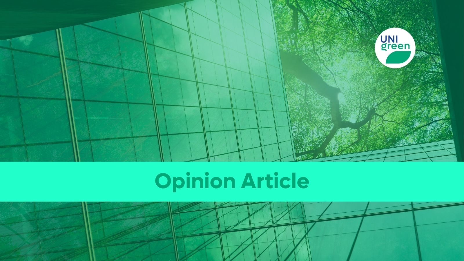The Impact of Population Growth and Urbanization on Sustainability